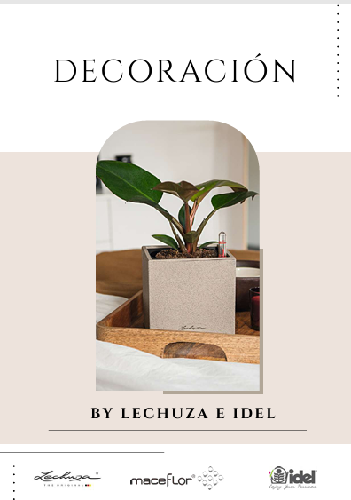 Decoración